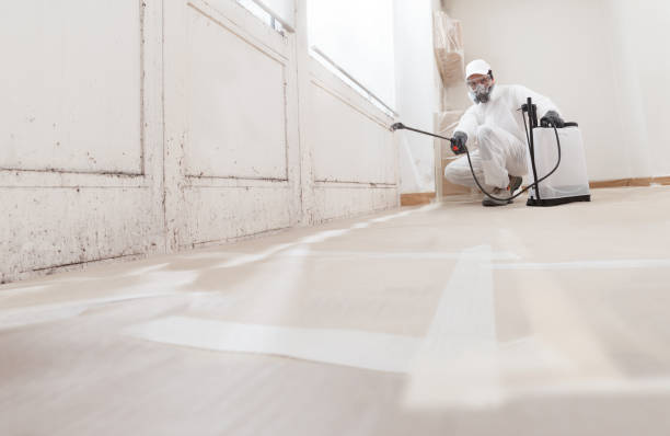 24/7 Emergency Mold Remediation experts in Alamance, NC