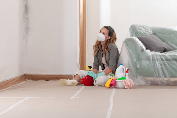 Reliable Mold Remediation contractor in Alamance, NC by 24 Hour Mold Removal